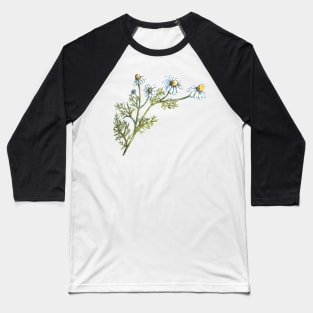 Chamomile - realistic painting - watercolor - herb study Baseball T-Shirt